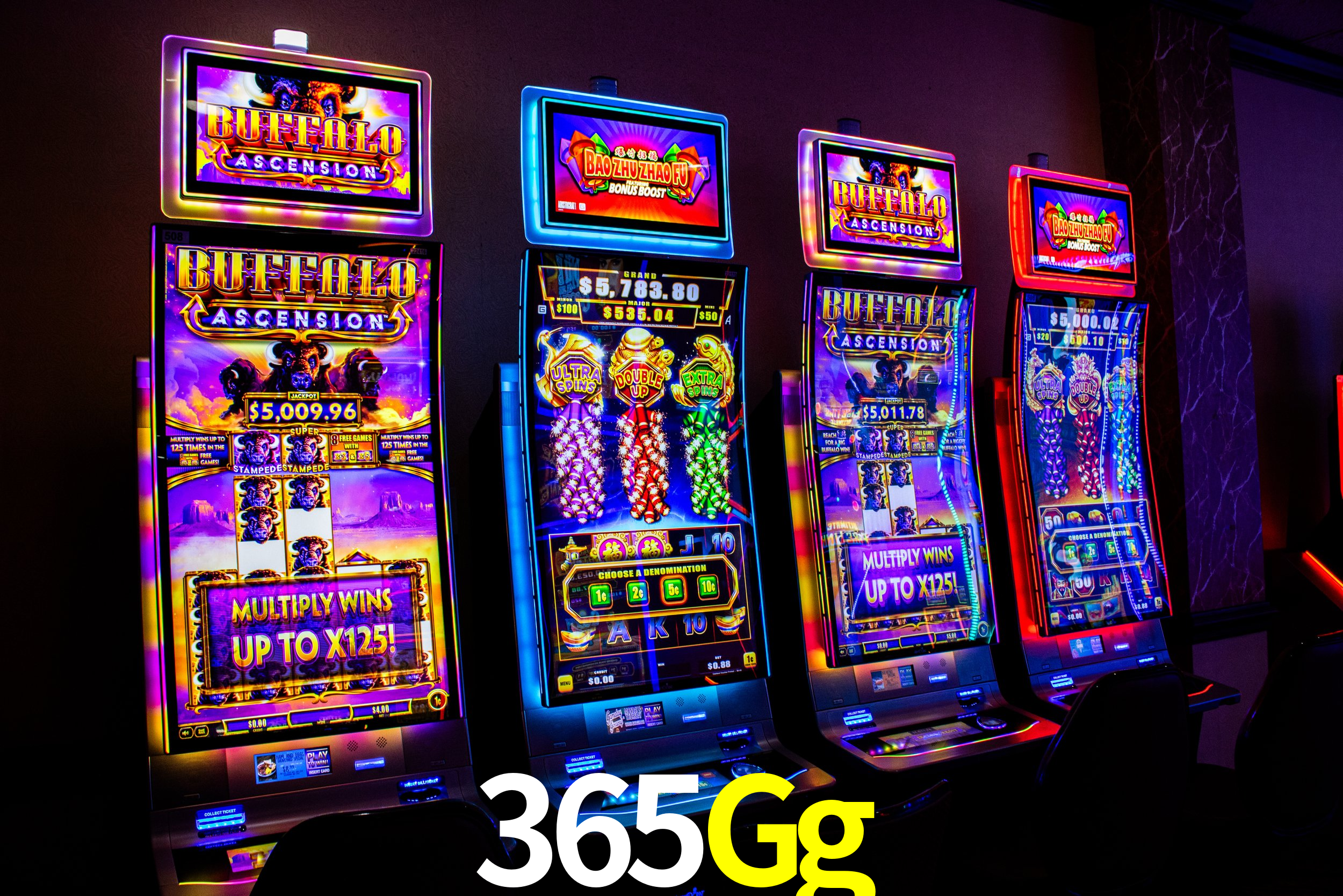 365Gg,365Gg.Com